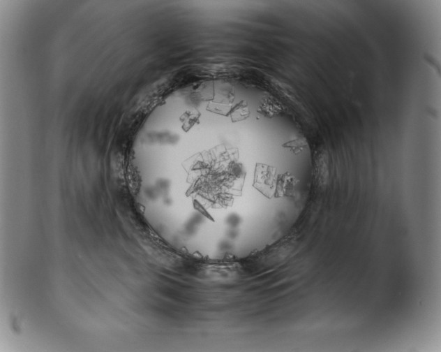 X0000100490571200806271239