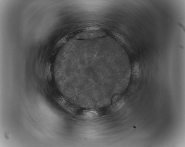 X0000100490572200806271239