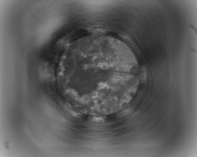 X0000100490573200806271239