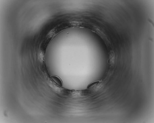 X0000100490574200806271239