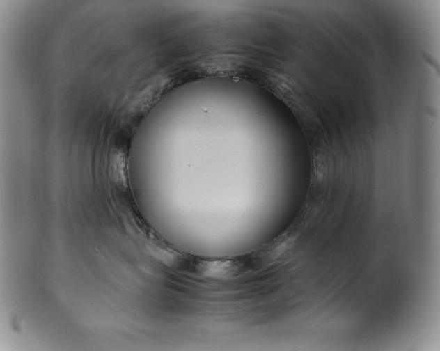 X0000100490575200806271239