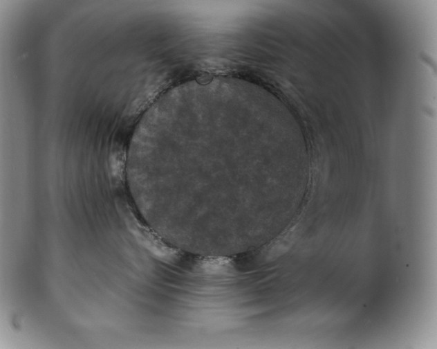 X0000100490576200806271239