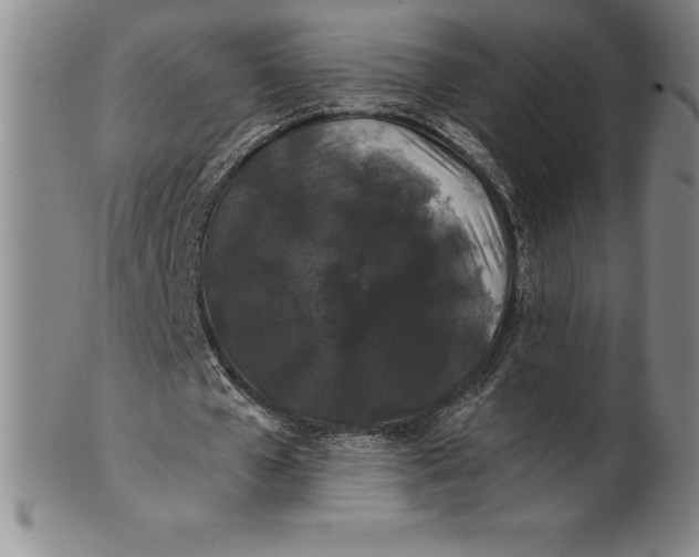 X0000100490577200806271239