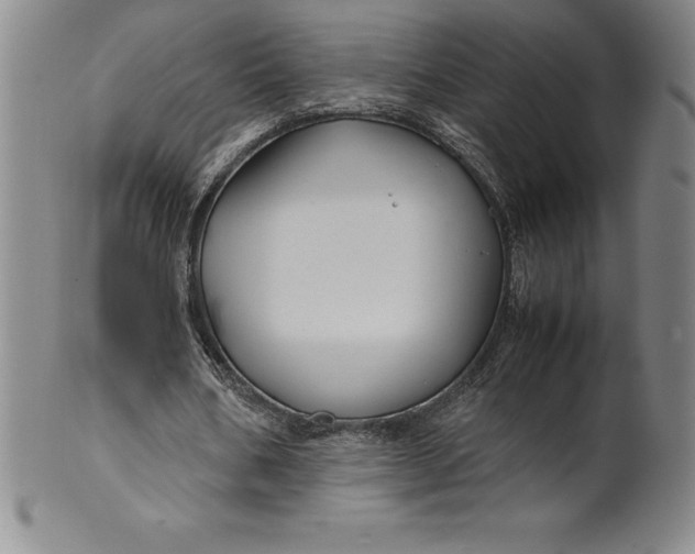 X0000100490578200806271239