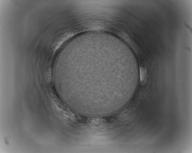 X0000100490579200806271239