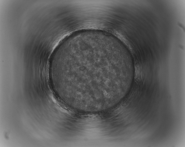 X0000100490580200806271239