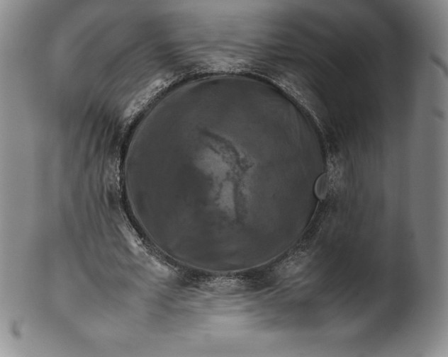 X0000100490581200806271239