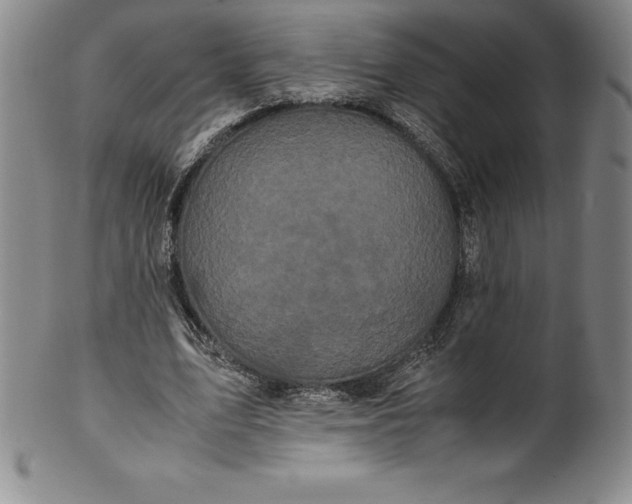 X0000100490583200806271239