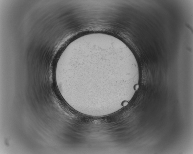 X0000100490584200806271239