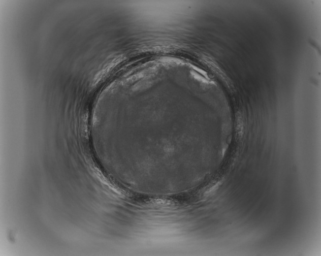 X0000100490585200806271239