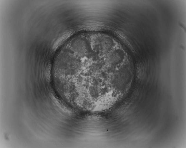 X0000100490586200806271239