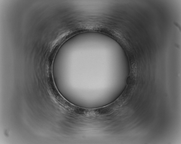 X0000100490587200806271239