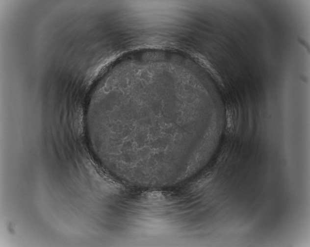 X0000100490588200806271239