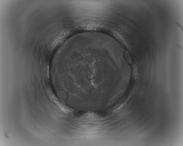 X0000100490589200806271239