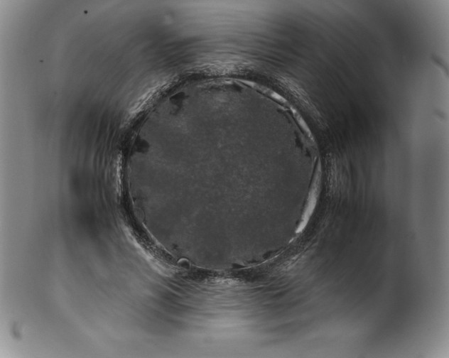 X0000100490590200806271239