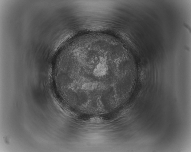 X0000100490591200806271239