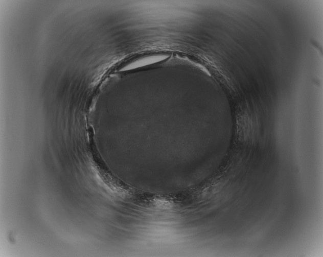 X0000100490592200806271238