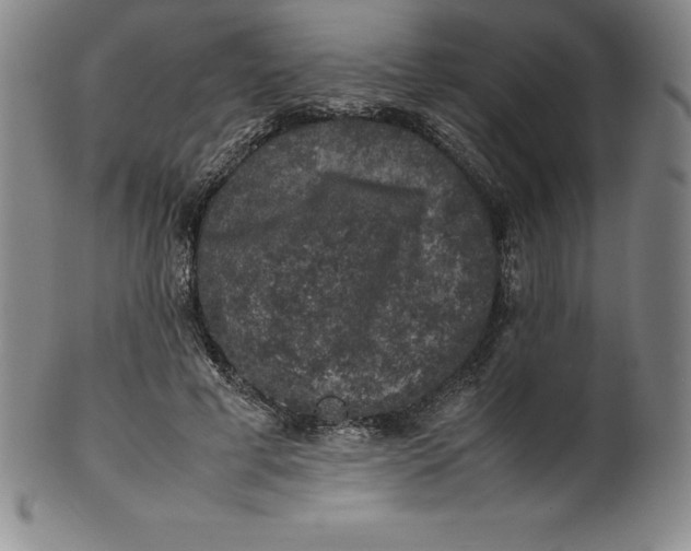 X0000100490593200806271238