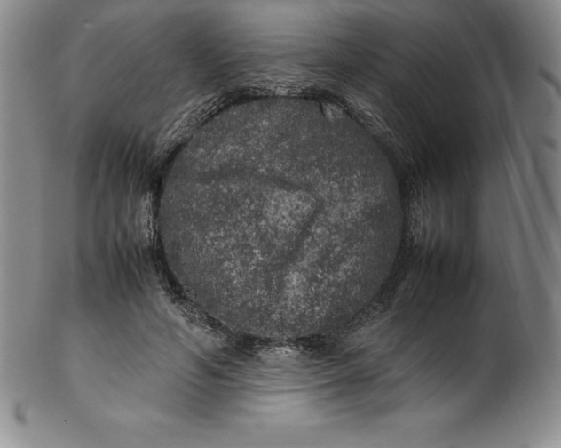 X0000100490594200806271238