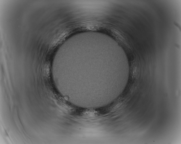 X0000100490595200806271238