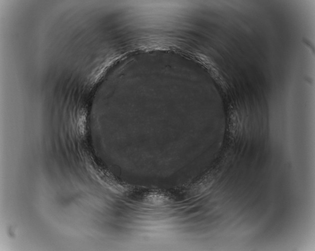 X0000100490596200806271238