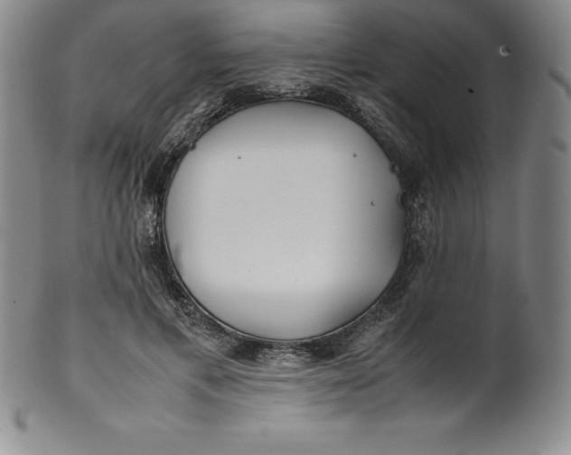 X0000100490597200806271238