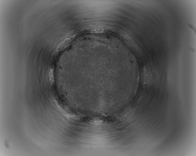 X0000100490598200806271238