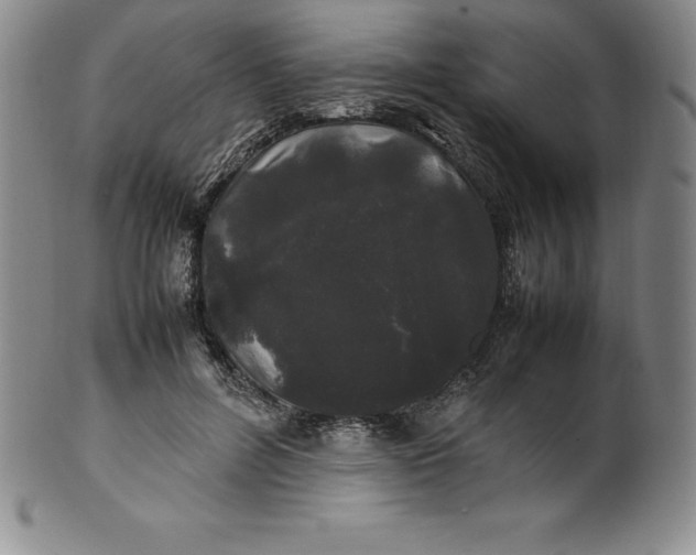 X0000100490600200806271238