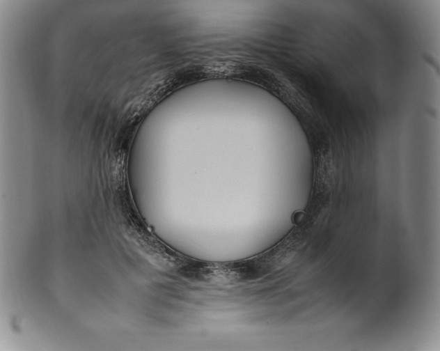 X0000100490601200806271238