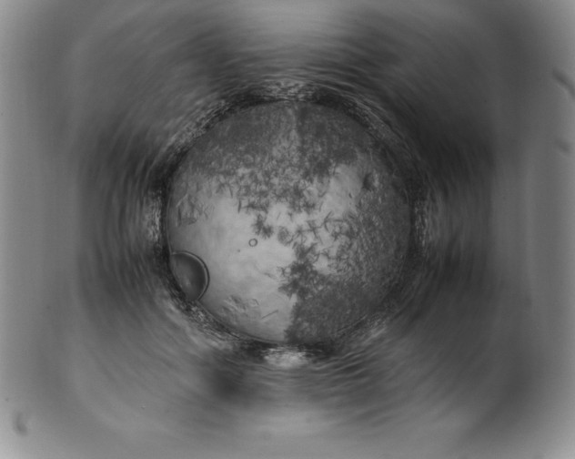 X0000100490602200806271238