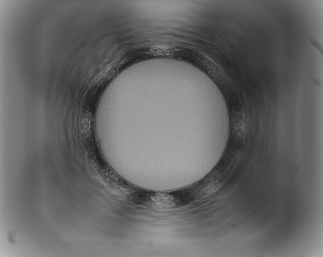 X0000100490603200806271238