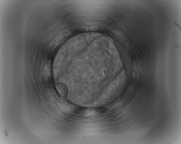 X0000100490604200806271238