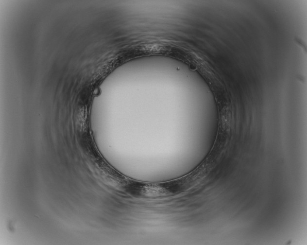 X0000100490605200806271238