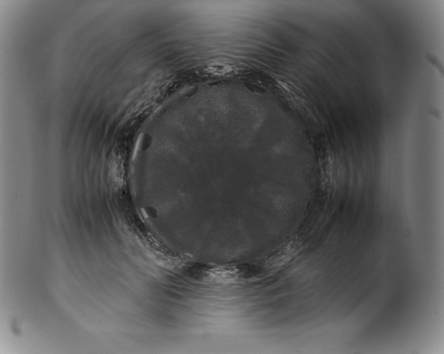 X0000100490606200806271238