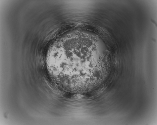 X0000100490607200806271238