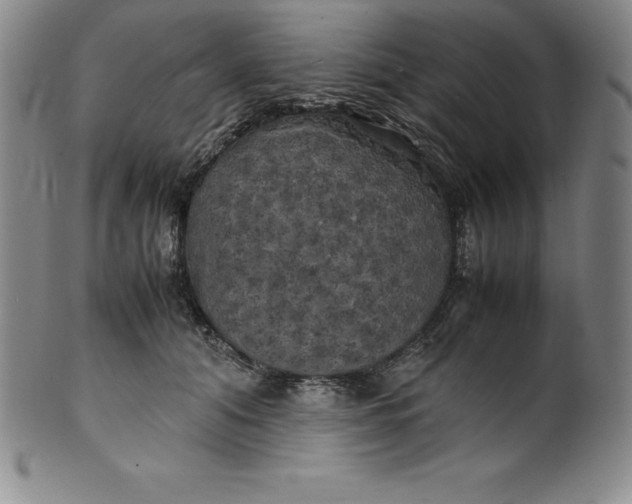 X0000100490608200806271238