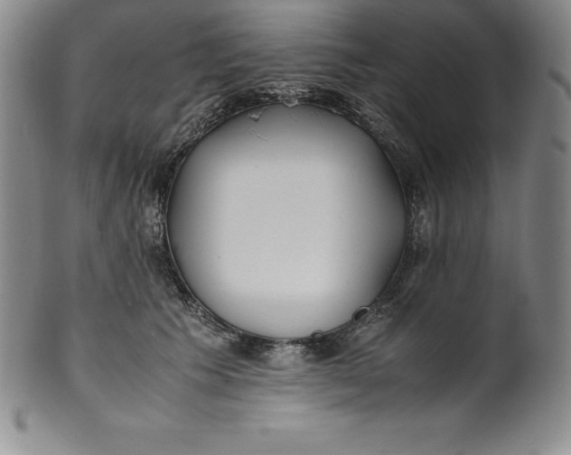 X0000100490609200806271238