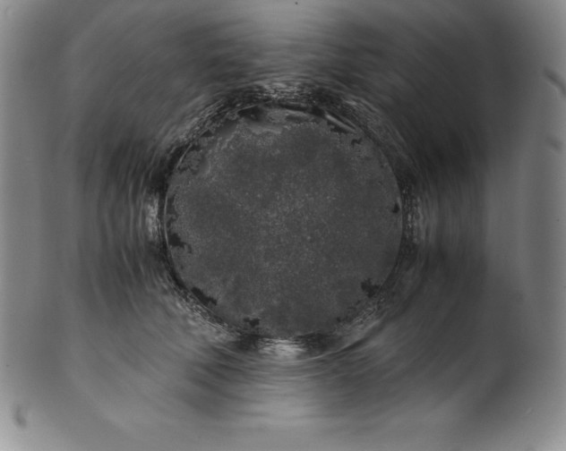 X0000100490610200806271238