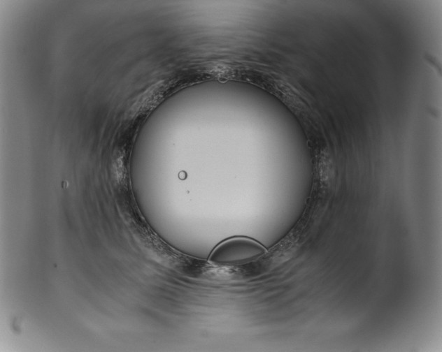 X0000100490611200806271238