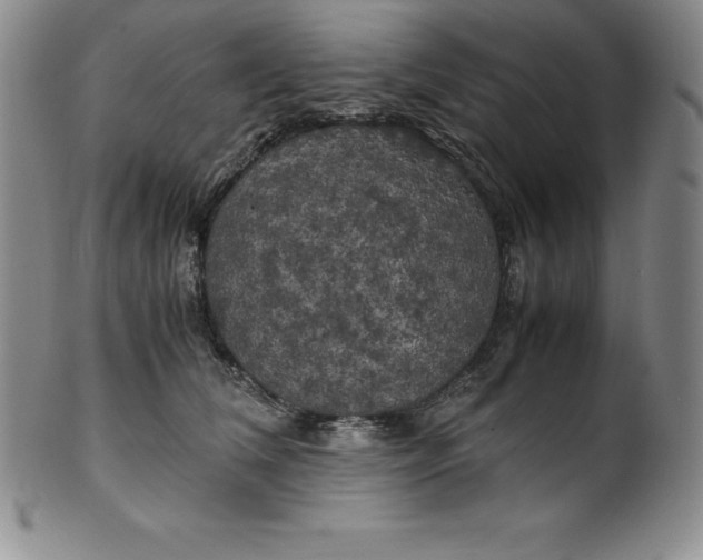 X0000100490612200806271238