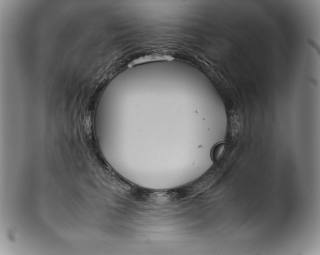 X0000100490613200806271238