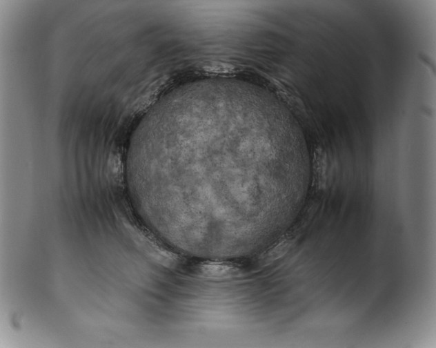 X0000100490614200806271238