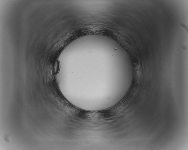 X0000100490615200806271238