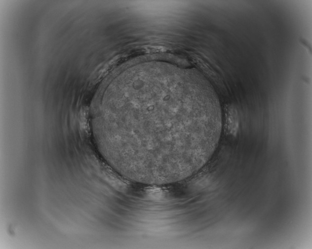 X0000100490616200806271238