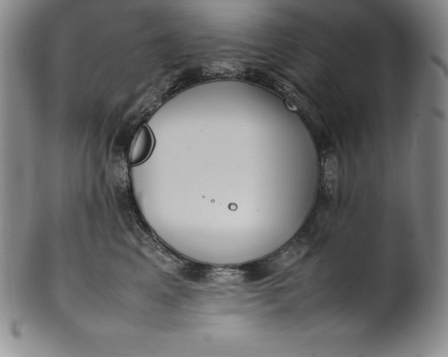 X0000100490617200806271238