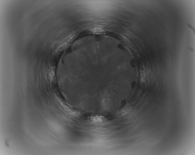 X0000100490618200806271238