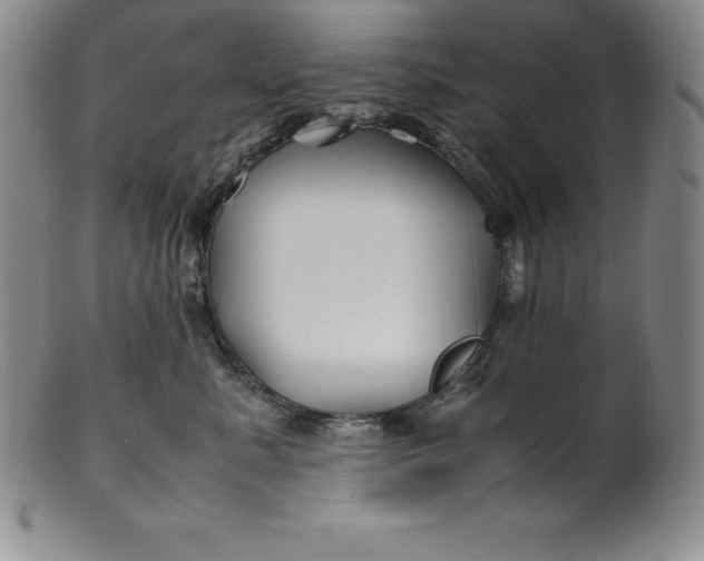 X0000100490619200806271238