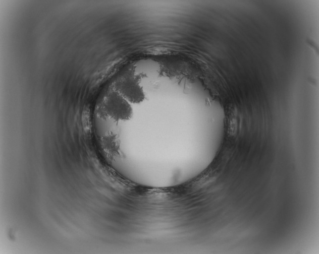 X0000100490620200806271238