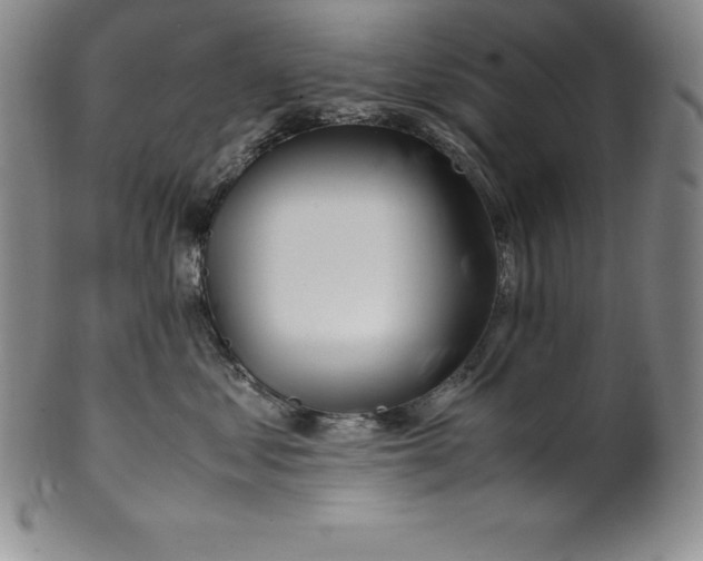 X0000100490621200806271238