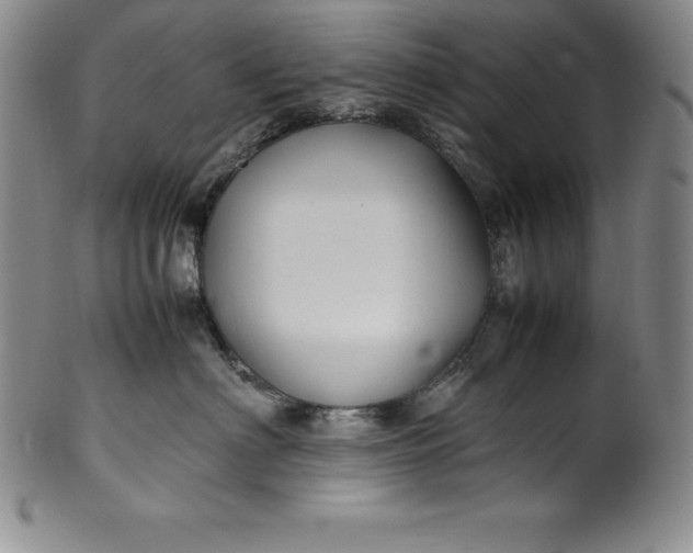 X0000100490622200806271238